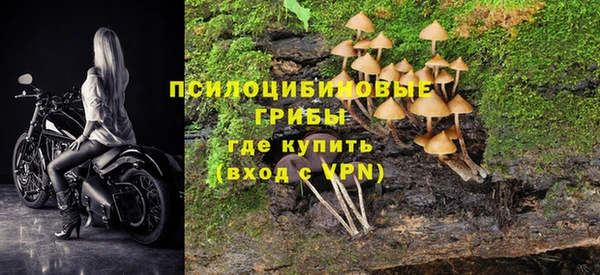 кокс Алзамай