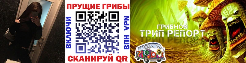 Псилоцибиновые грибы Psilocybine cubensis  Нолинск 